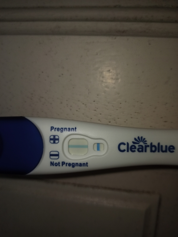 Home Pregnancy Test