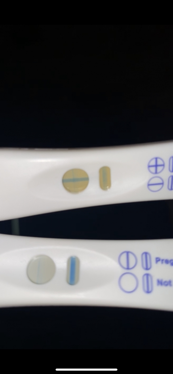 Home Pregnancy Test