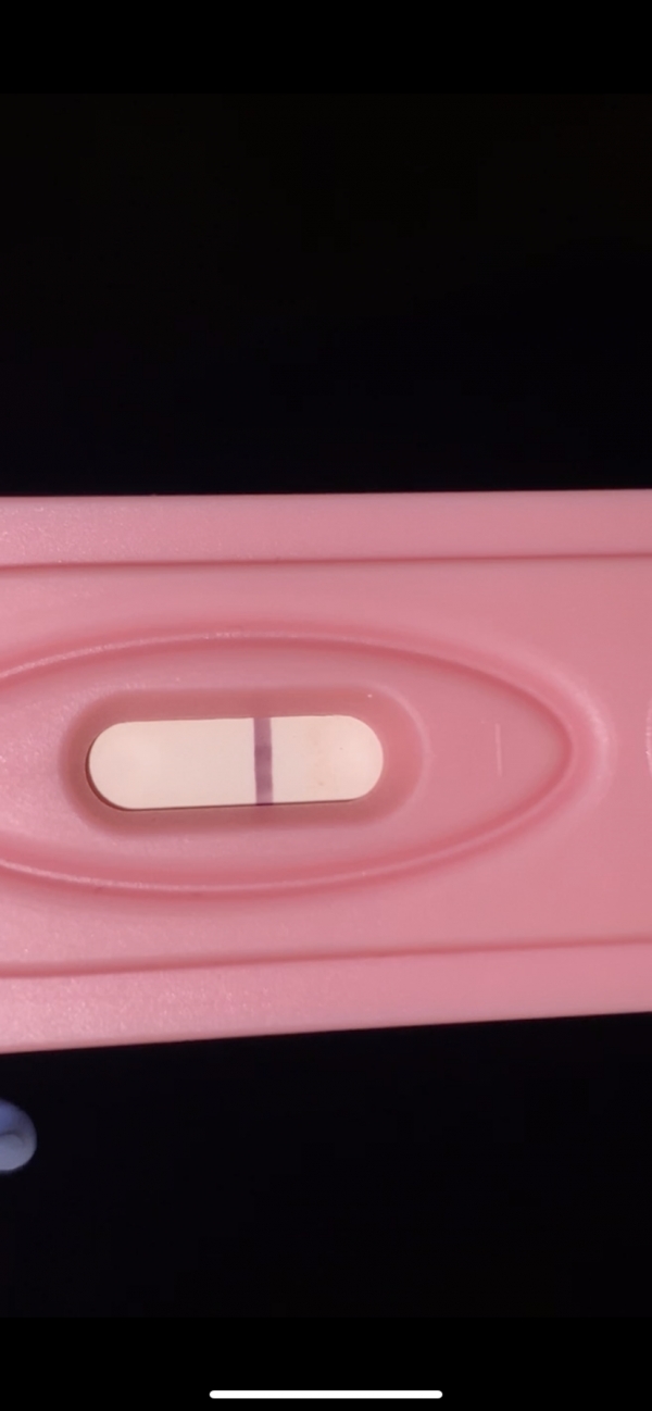 Home Pregnancy Test