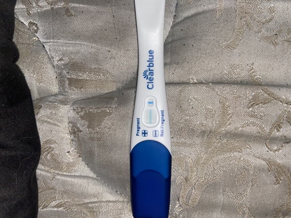Home Pregnancy Test
