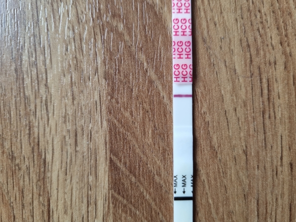 Home Pregnancy Test