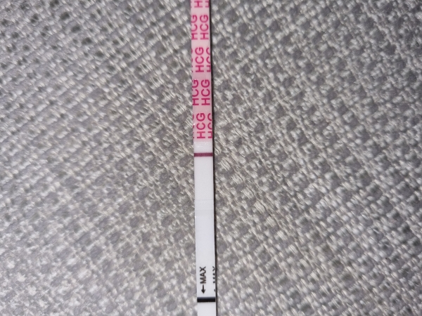Home Pregnancy Test