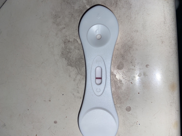 Home Pregnancy Test