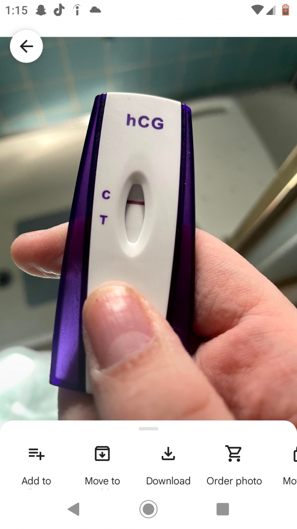 Home Pregnancy Test