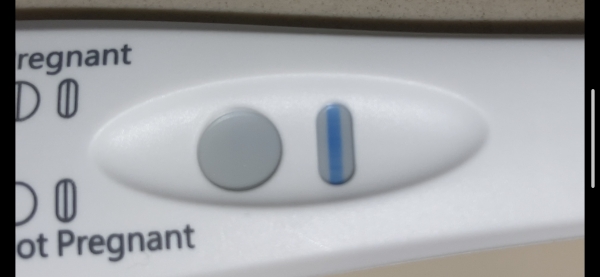 Generic Pregnancy Test
