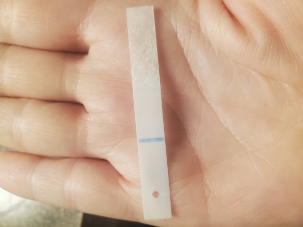 Equate One Step Pregnancy Test, FMU
