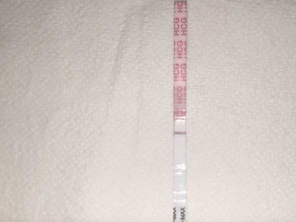 Wondfo Test Strips Pregnancy Test, 10 Days Post Ovulation