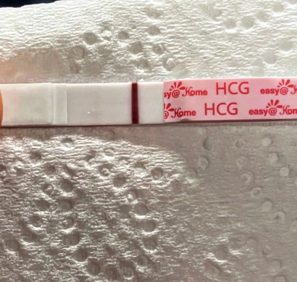 Easy-At-Home Pregnancy Test, 12 Days Post Ovulation, Cycle Day 26