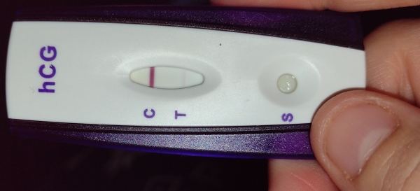 Home Pregnancy Test