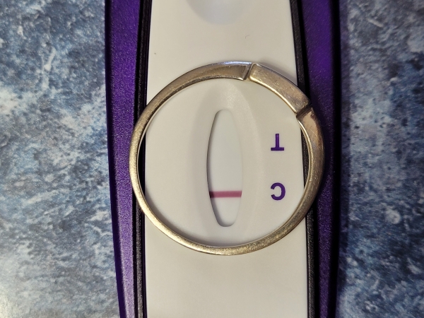 Equate One Step Pregnancy Test, 10 Days Post Ovulation, Cycle Day 30