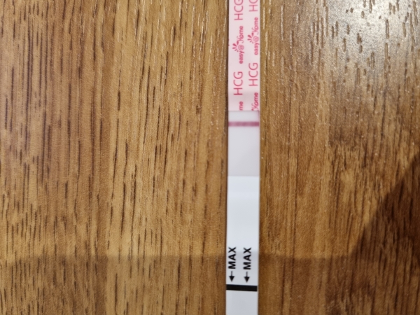 Home Pregnancy Test