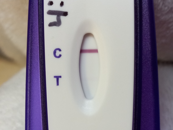 Equate One Step Pregnancy Test, 14 Days Post Ovulation, Cycle Day 34