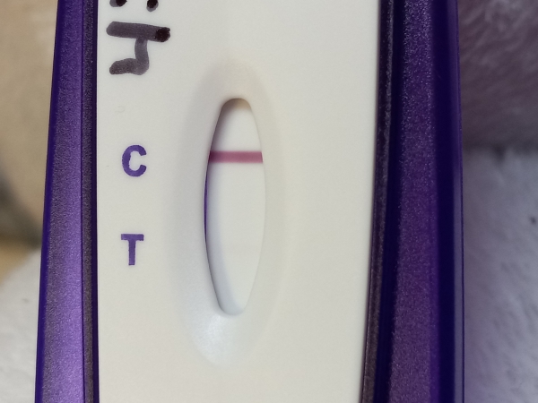 Equate One Step Pregnancy Test, 14 Days Post Ovulation, Cycle Day 34