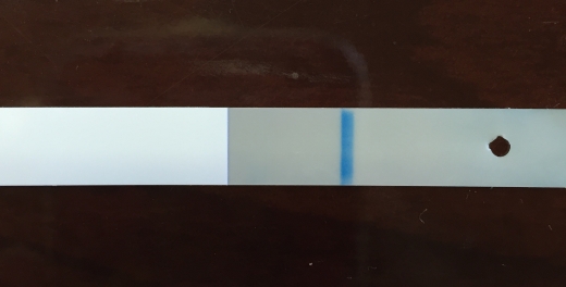 Equate One Step Pregnancy Test
