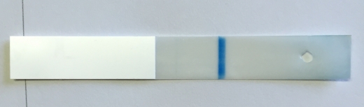 Equate One Step Pregnancy Test
