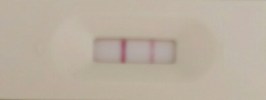 Generic Pregnancy Test, 16 Days Post Ovulation, FMU
