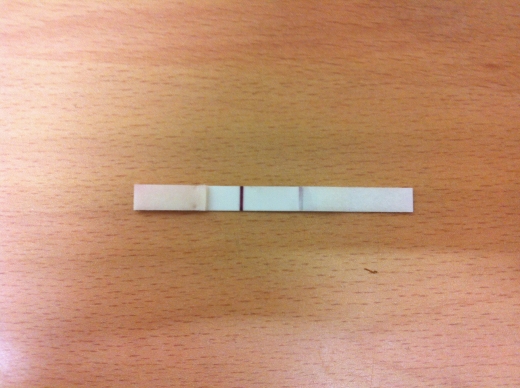 Home Pregnancy Test