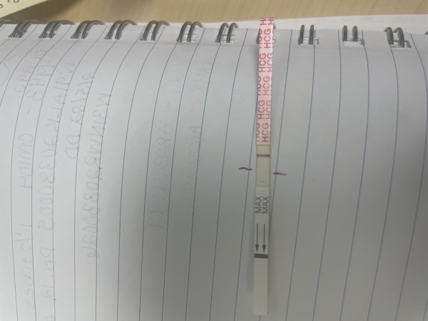 Generic Pregnancy Test, 12 Days Post Ovulation