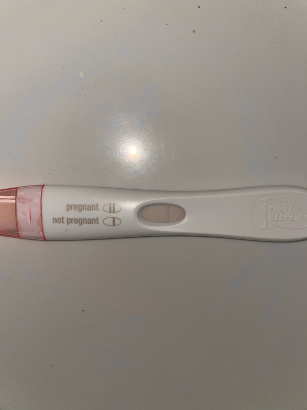 Home Pregnancy Test