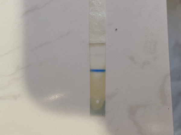 Generic Pregnancy Test, 15 Days Post Ovulation, FMU