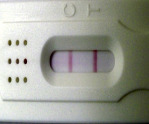 New Choice Pregnancy Test, 13 Days Post Ovulation, FMU, Cycle Day 27