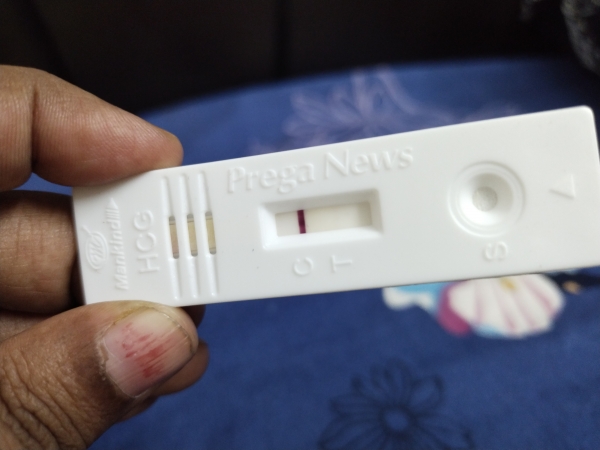 Home Pregnancy Test