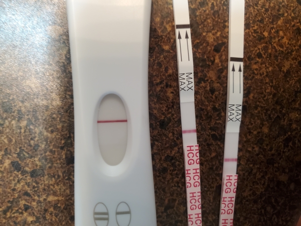 Home Pregnancy Test