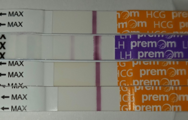 Home Pregnancy Test, 12 Days Post Ovulation, FMU
