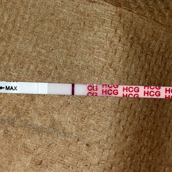 Home Pregnancy Test