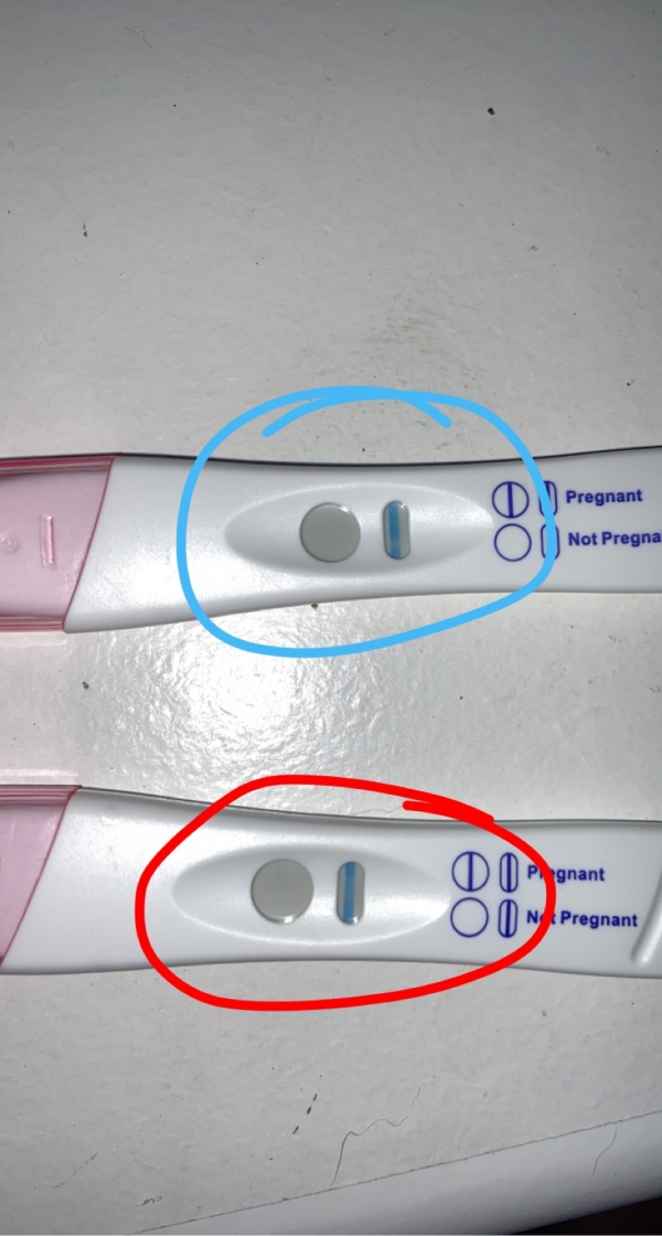 Home Pregnancy Test