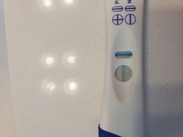 CVS One Step Pregnancy Test, 12 Days Post Ovulation
