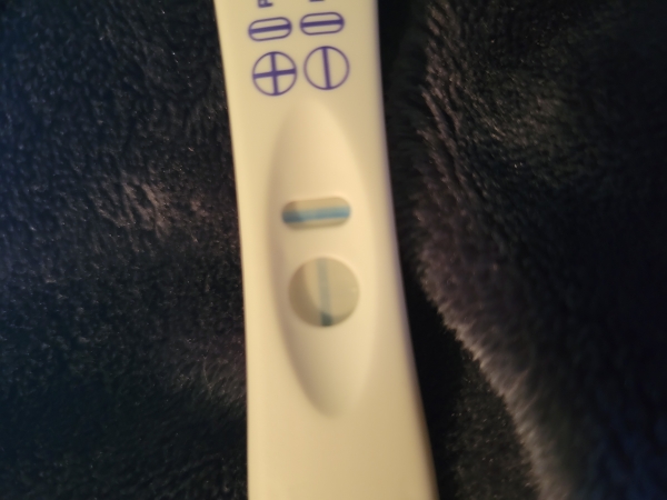 e.p.t. Pregnancy Test