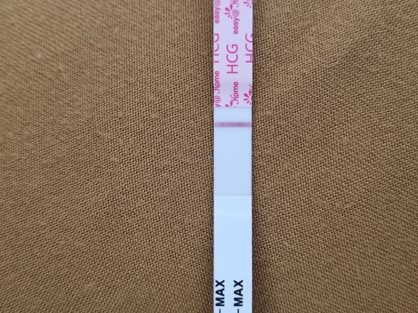 Home Pregnancy Test