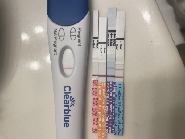 Home Pregnancy Test