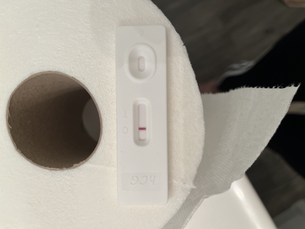 Home Pregnancy Test