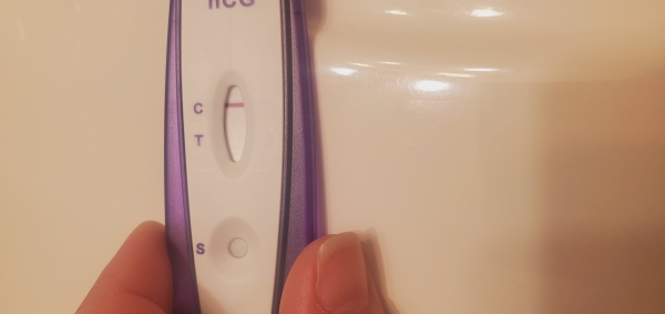 Home Pregnancy Test
