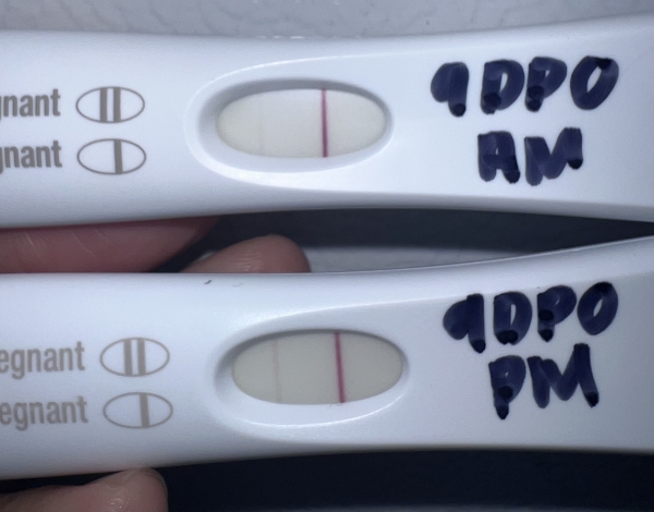 First Response Early Pregnancy Test, 9 Days Post Ovulation, FMU, Cycle Day 23