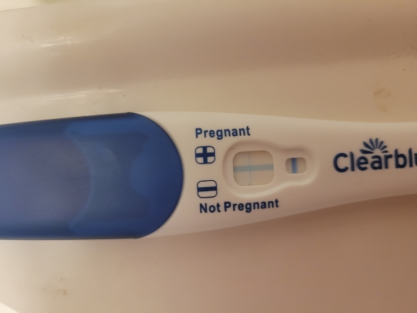 Home Pregnancy Test