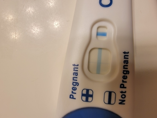 Clearblue Plus Pregnancy Test, 18 Days Post Ovulation, FMU, Cycle Day 33
