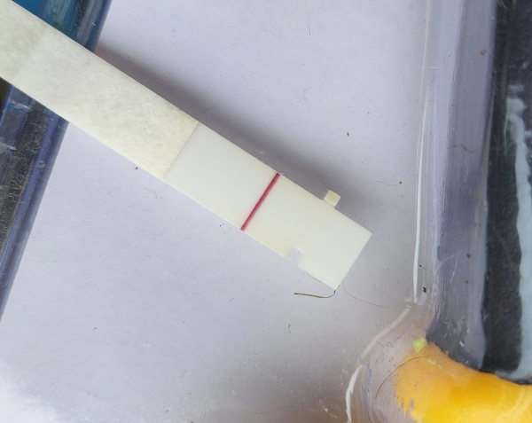 First Response Early Pregnancy Test, 7 Days Post Ovulation, Cycle Day 18