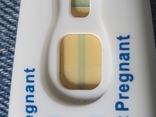 Home Pregnancy Test