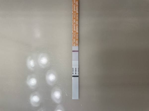 Easy-At-Home Pregnancy Test, 8 Days Post Ovulation, FMU, Cycle Day 27