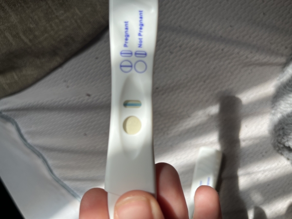 Home Pregnancy Test
