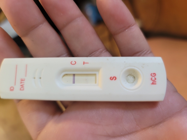 Home Pregnancy Test
