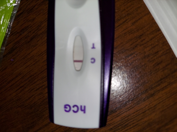 Generic Pregnancy Test, Cycle Day 41