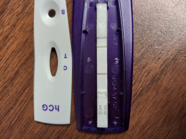 Home Pregnancy Test