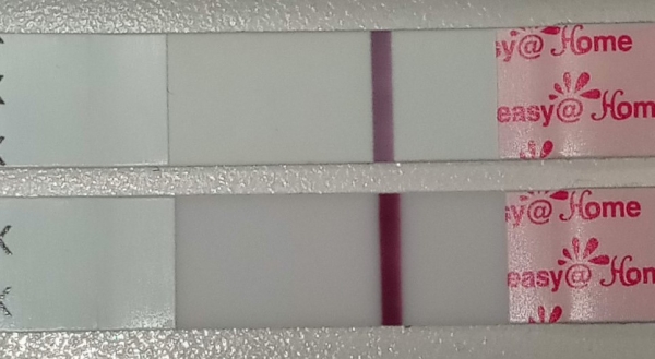 Home Pregnancy Test