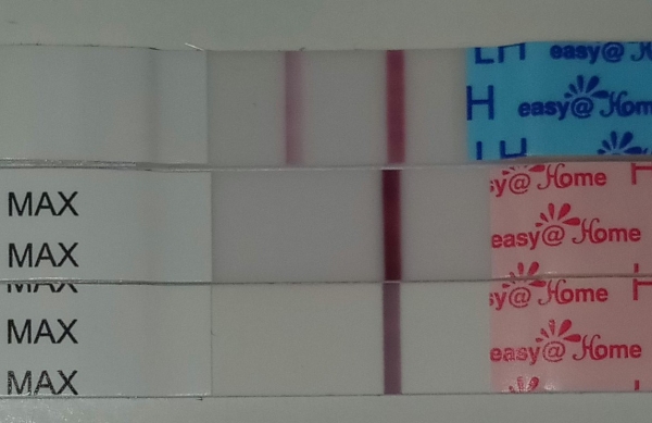 Home Pregnancy Test