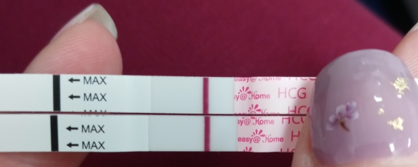 Home Pregnancy Test