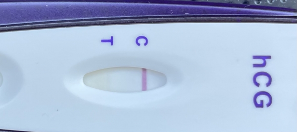 First Signal One Step Pregnancy Test
